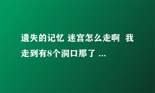 遗失的记忆 迷宫怎么走啊  我走到有8个洞口那了  木偶任务也完成了