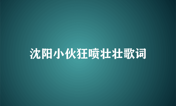 沈阳小伙狂喷壮壮歌词