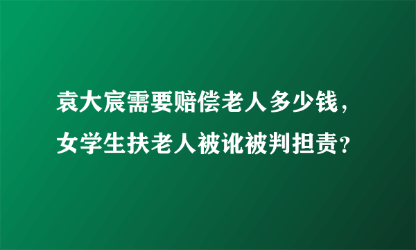 袁大宸需要赔偿老人多少钱，女学生扶老人被讹被判担责？