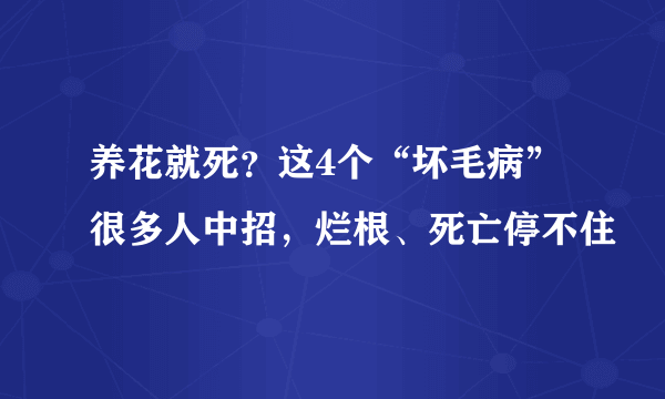 养花就死？这4个“坏毛病”很多人中招，烂根、死亡停不住