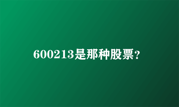 600213是那种股票？