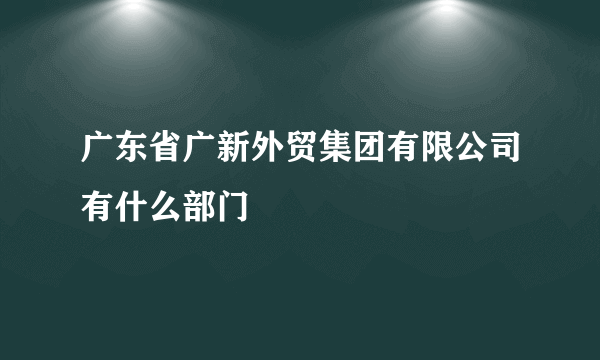 广东省广新外贸集团有限公司有什么部门