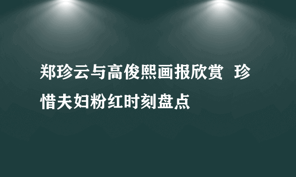 郑珍云与高俊熙画报欣赏  珍惜夫妇粉红时刻盘点