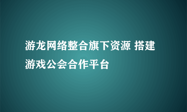 游龙网络整合旗下资源 搭建游戏公会合作平台