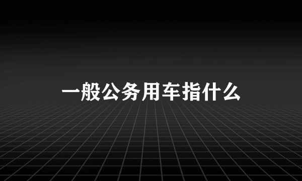 一般公务用车指什么