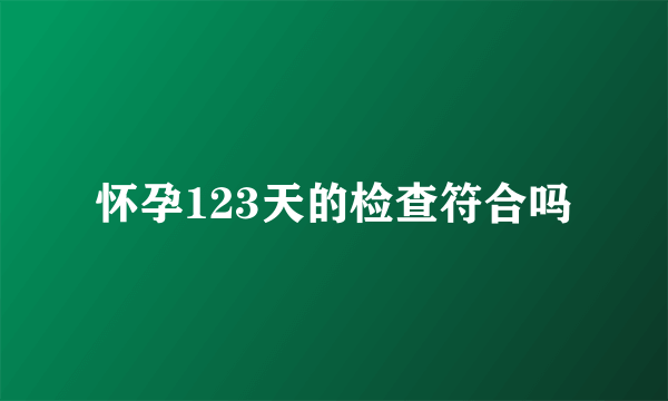 怀孕123天的检查符合吗