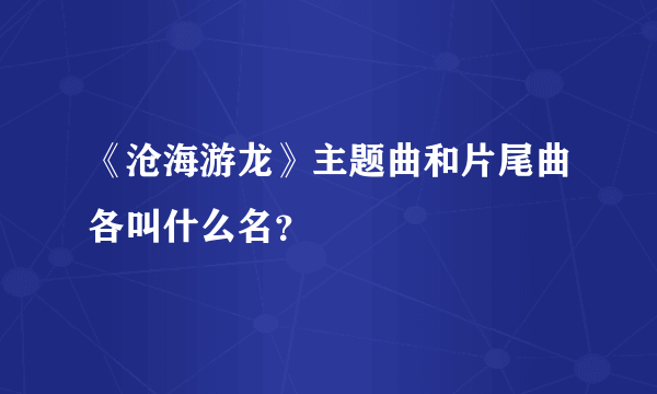 《沧海游龙》主题曲和片尾曲各叫什么名？