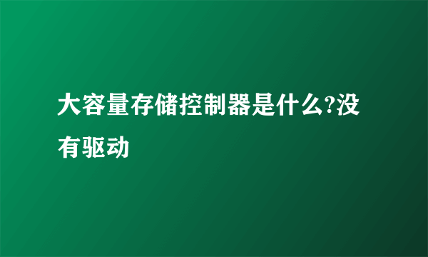 大容量存储控制器是什么?没有驱动