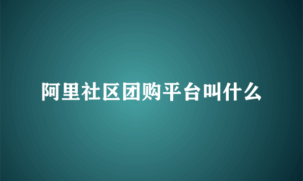 阿里社区团购平台叫什么