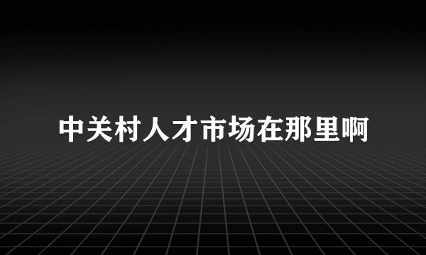 中关村人才市场在那里啊