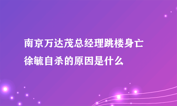 南京万达茂总经理跳楼身亡 徐毓自杀的原因是什么