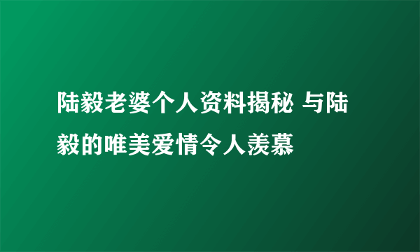 陆毅老婆个人资料揭秘 与陆毅的唯美爱情令人羡慕