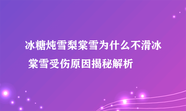 冰糖炖雪梨棠雪为什么不滑冰 棠雪受伤原因揭秘解析