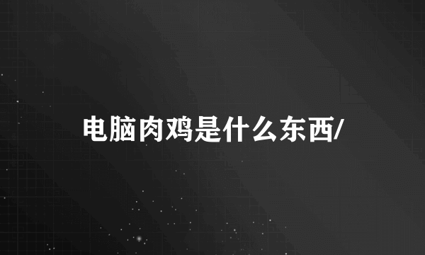 电脑肉鸡是什么东西/