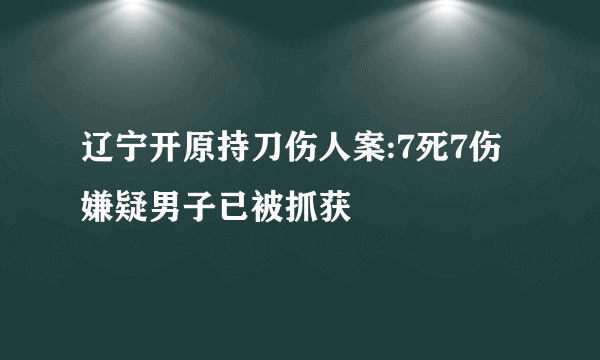 辽宁开原持刀伤人案:7死7伤 嫌疑男子已被抓获