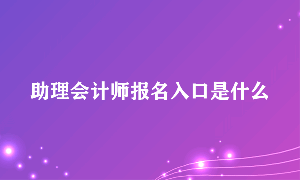 助理会计师报名入口是什么