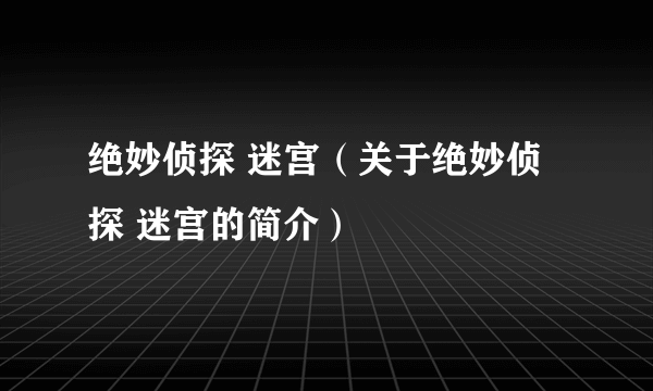 绝妙侦探 迷宫（关于绝妙侦探 迷宫的简介）