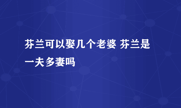 芬兰可以娶几个老婆 芬兰是一夫多妻吗