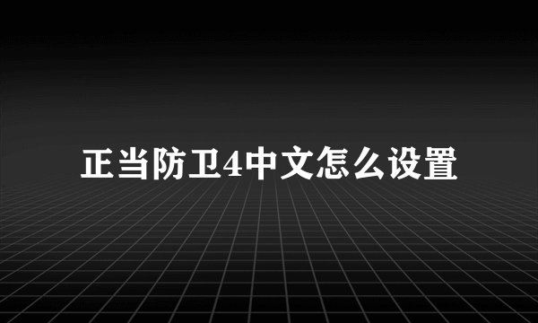 正当防卫4中文怎么设置