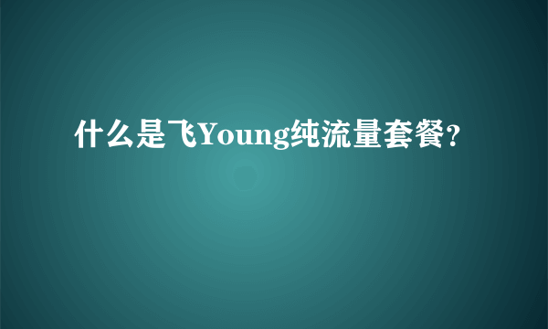 什么是飞Young纯流量套餐？