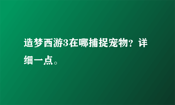 造梦西游3在哪捕捉宠物？详细一点。