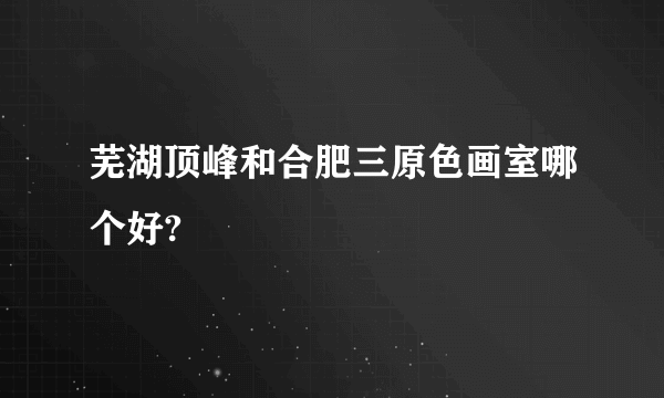 芜湖顶峰和合肥三原色画室哪个好?