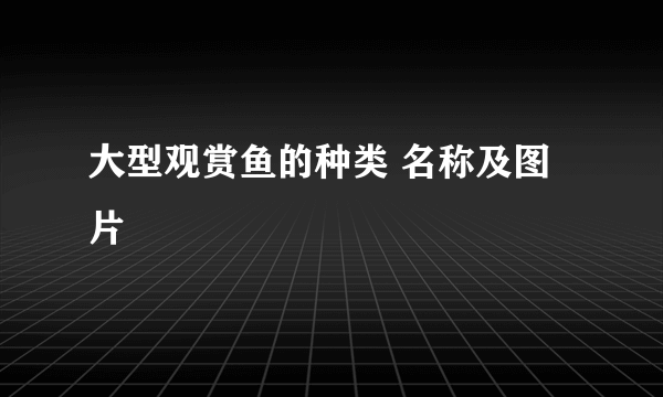 大型观赏鱼的种类 名称及图片