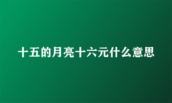 十五的月亮十六元什么意思