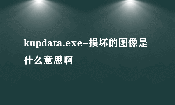 kupdata.exe-损坏的图像是什么意思啊