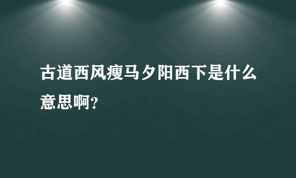 古道西风瘦马夕阳西下是什么意思啊？