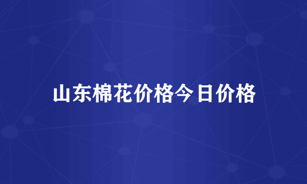 山东棉花价格今日价格