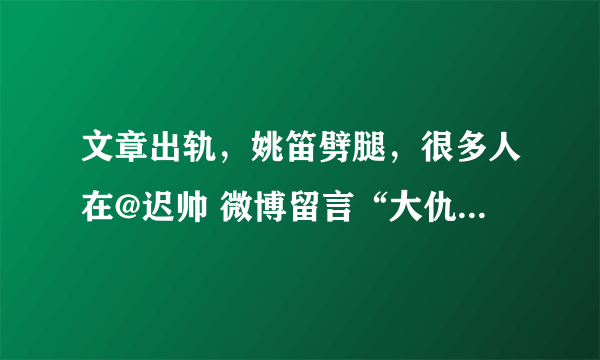 文章出轨，姚笛劈腿，很多人在@迟帅 微博留言“大仇已报”是什么意思？