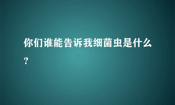 你们谁能告诉我细菌虫是什么？