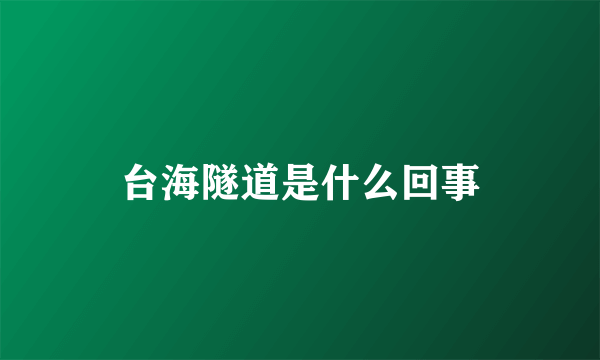 台海隧道是什么回事