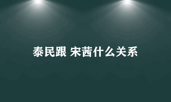 泰民跟 宋茜什么关系