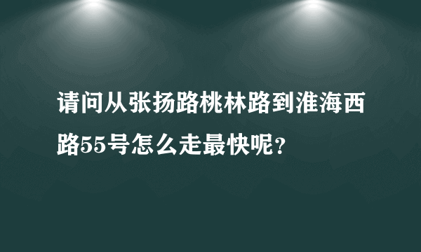 请问从张扬路桃林路到淮海西路55号怎么走最快呢？