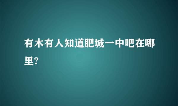 有木有人知道肥城一中吧在哪里?