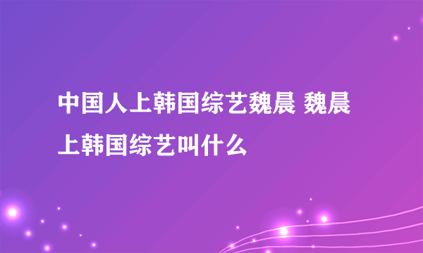 中国人上韩国综艺魏晨 魏晨上韩国综艺叫什么