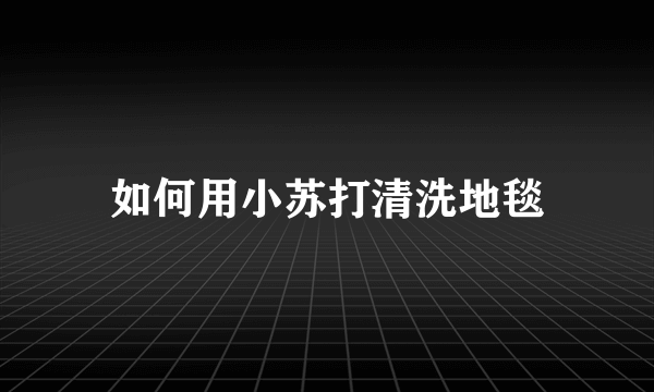 如何用小苏打清洗地毯