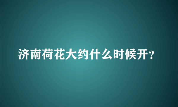 济南荷花大约什么时候开？