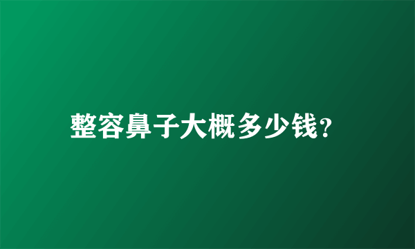 整容鼻子大概多少钱？