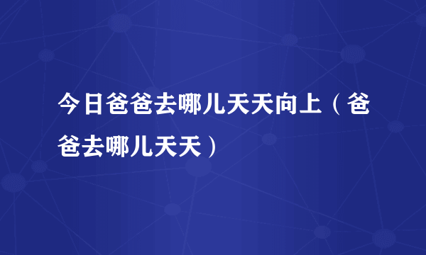 今日爸爸去哪儿天天向上（爸爸去哪儿天天）