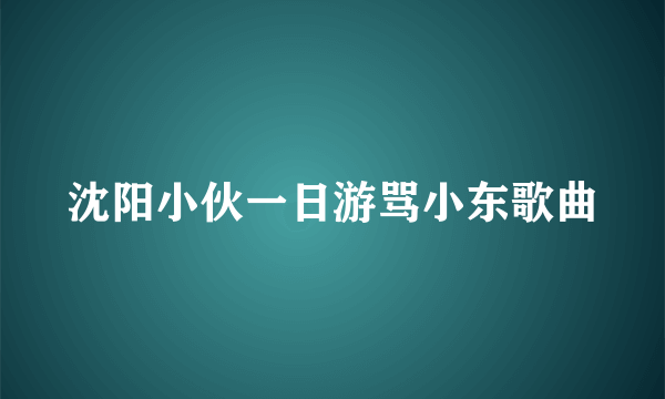 沈阳小伙一日游骂小东歌曲