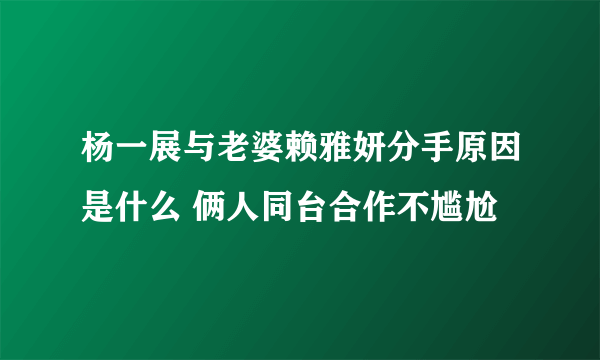 杨一展与老婆赖雅妍分手原因是什么 俩人同台合作不尴尬