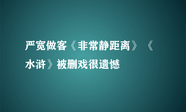 严宽做客《非常静距离》 《水浒》被删戏很遗憾