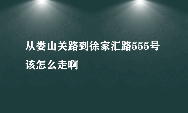 从娄山关路到徐家汇路555号该怎么走啊