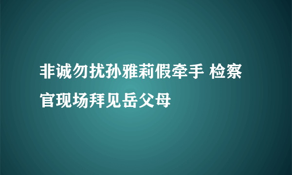 非诚勿扰孙雅莉假牵手 检察官现场拜见岳父母