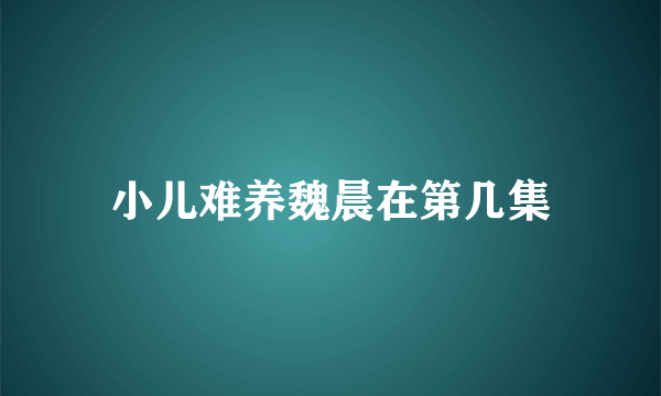 小儿难养魏晨在第几集