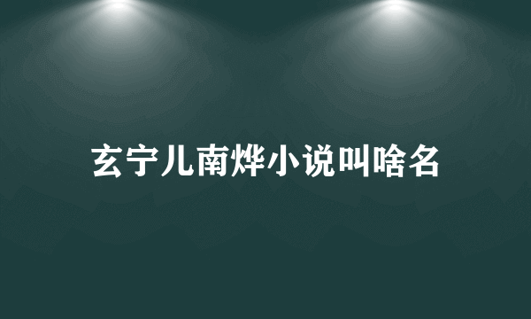 玄宁儿南烨小说叫啥名