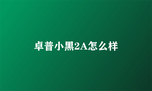 卓普小黑2A怎么样